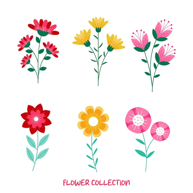 uma coleção de flores da coleção de Flores