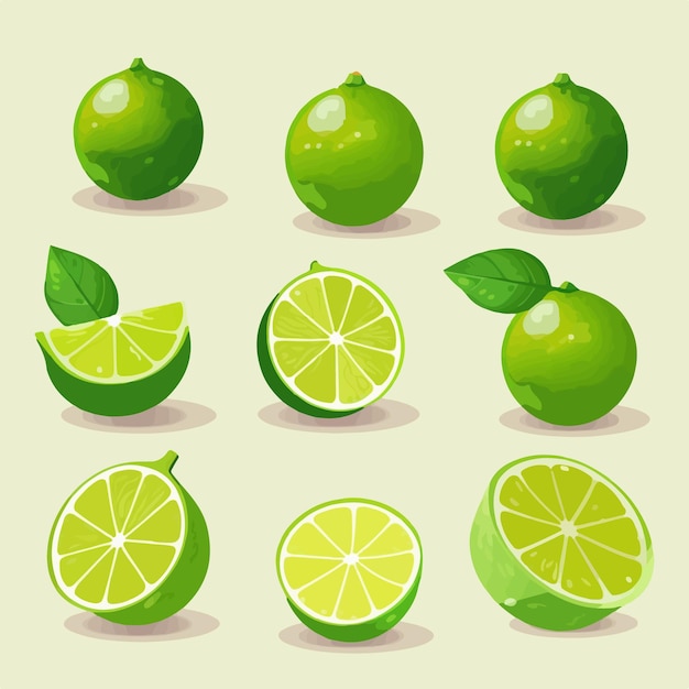 Uma coleção de gráficos vetoriais lime com uma variedade de ângulos e poses diferentes