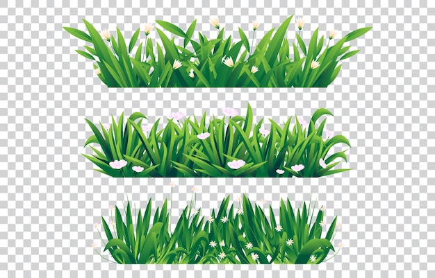 uma coleção de grama verde em um fundo transparente