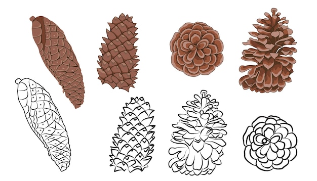 Uma coleção de ilustrações de pinheiros