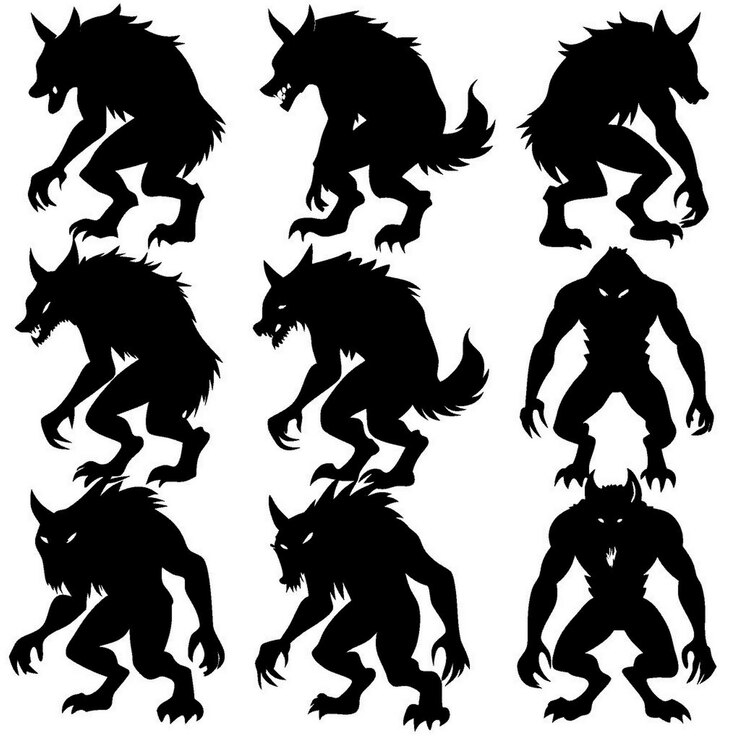 Vetor uma coleção de imagens de um lobo e um lobo