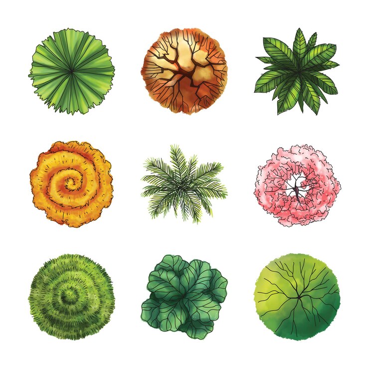 Vetor uma coleção de plantas, incluindo uma que tem a flor nela