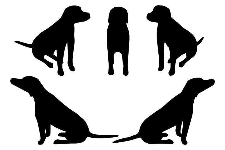 Vetor uma coleção de silhuetas de cães pretos em várias posições sentadas e de pé