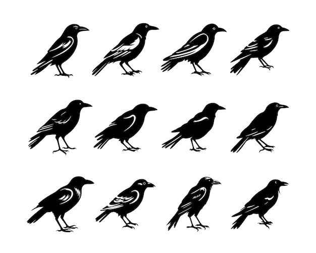 Vetor uma coleção definida de ilustrações de silhueta de corvo negro