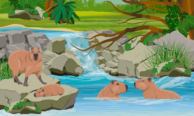Uma família de capivaras com um filhote descansa perto de uma pequena cachoeira com um lago na selva