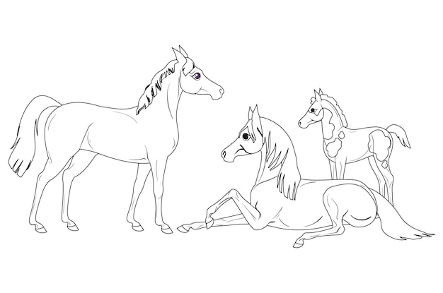 Uma família de cavalos e pequenos potros ilustrações vetoriais em preto e branco estilo de desenho animado para uma cor