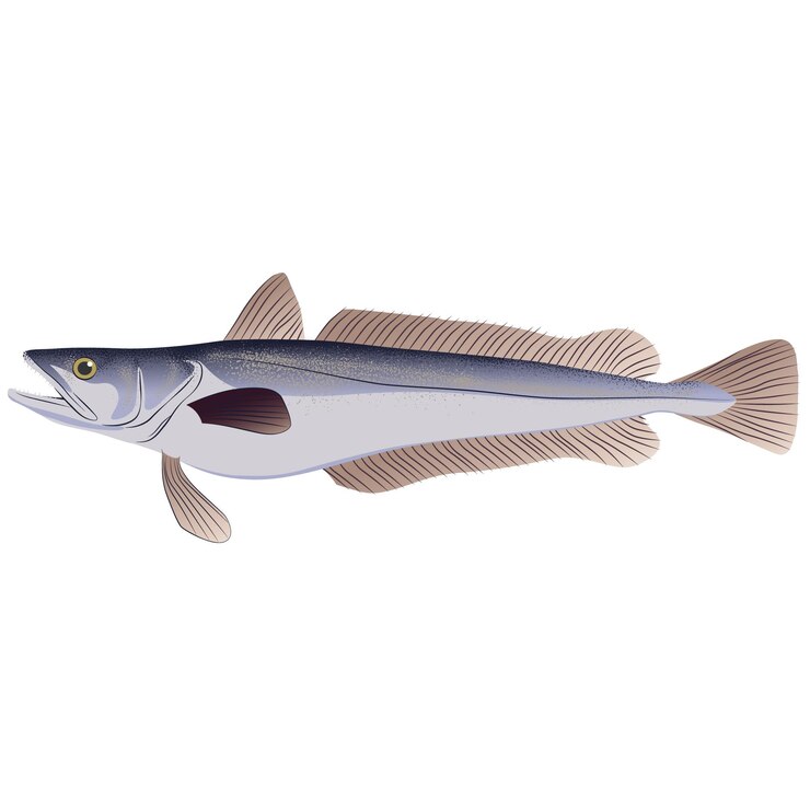 uma figura de peixe com um rosto que diz peixe nele
