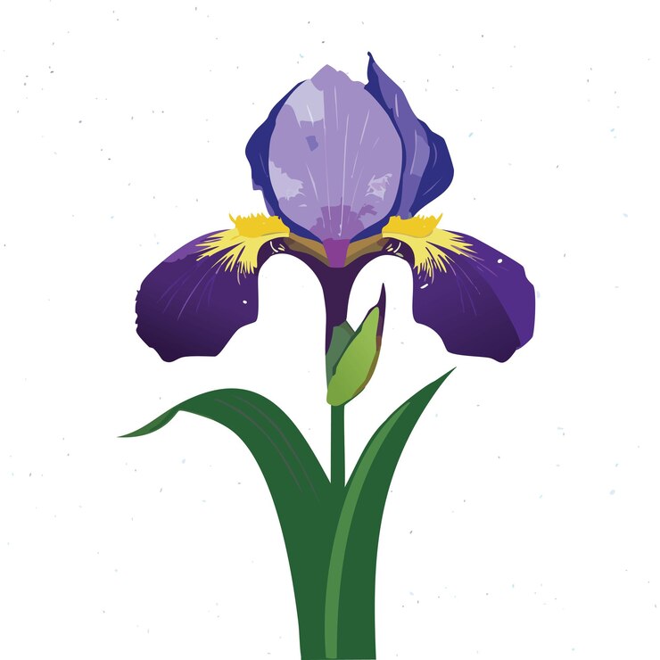 Vetor uma flor roxa com a palavra primavera