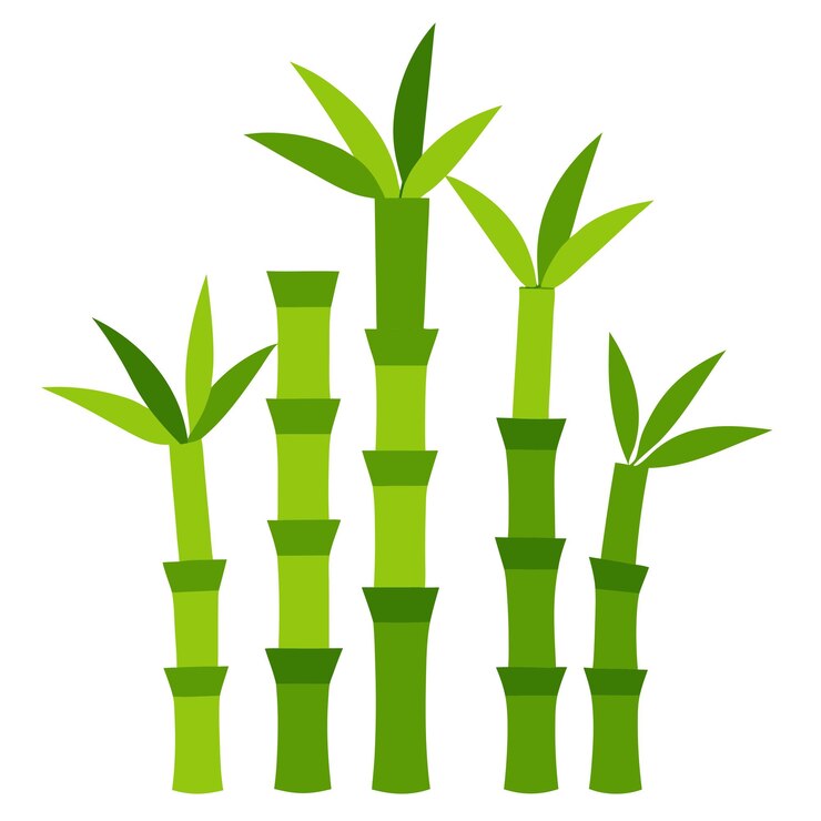 Vetor uma foto de plantas que dizem " planta " na parte superior