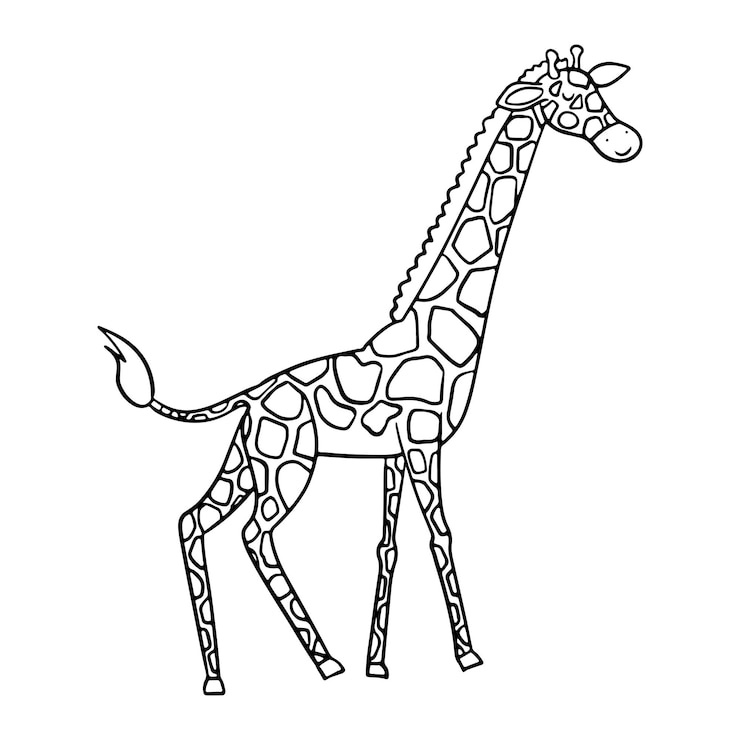Vetor uma girafa alta é retratada nesta ilustração de contorno preto e branco perfeita para usos educacionais ou livros de colorir para crianças desenho detalhado simples destaca os pontos únicos do pescoço da girafa