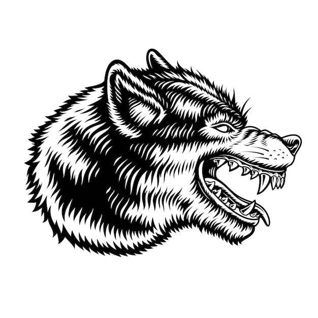 Uma ilustração a preto e branco de um lobo isolado no fundo branco.