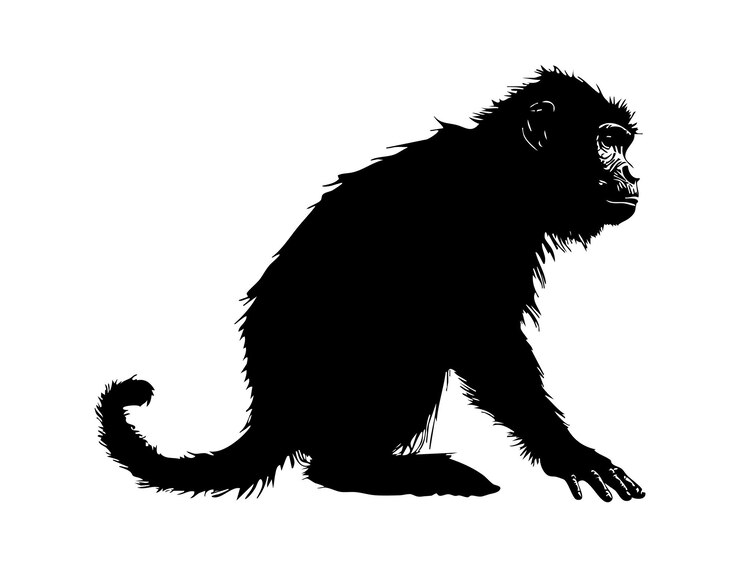 Vetor uma ilustração detalhada da silhueta de um macaco mostrando suas características e postura ideal para fins educacionais e artísticos