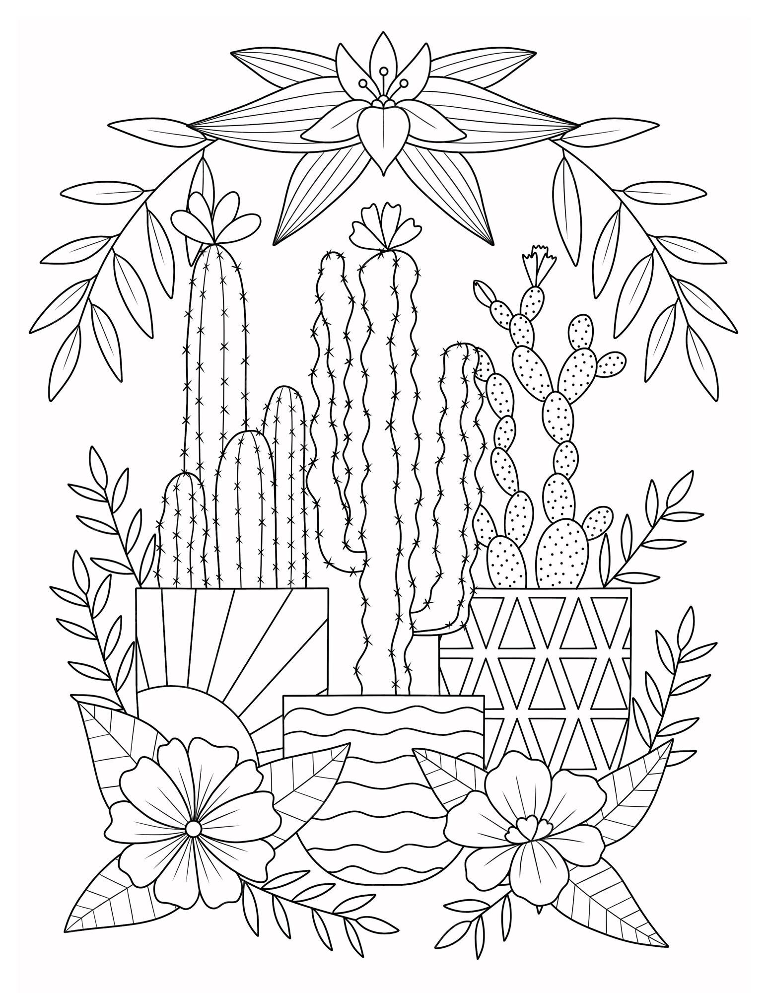 Ilustração em preto, preto e branco Cactaceae desenho pintura, planta de cacto  preto e branco padrão, Pintura em aquarela, branco, texto png