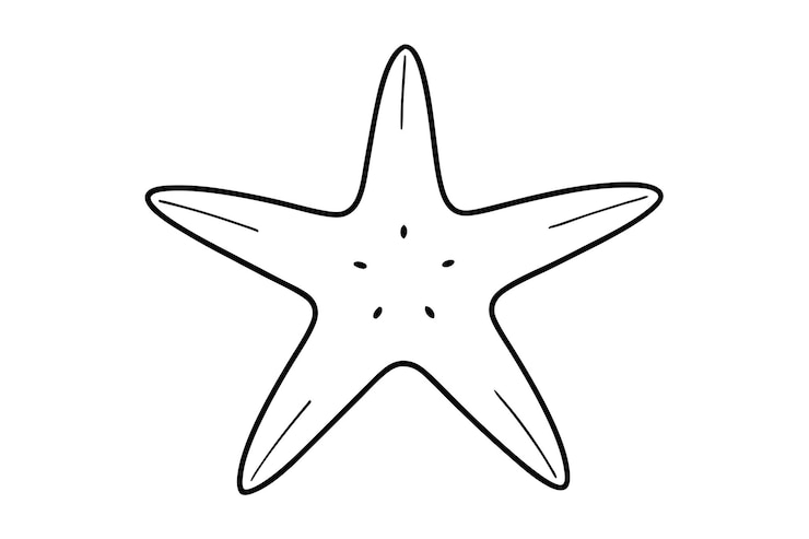 Vetor uma ilustração vetorial de arte de linha de peixe estrela