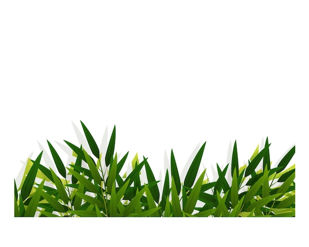Uma ilustração vetorial de fundo de folha de bambu verde
