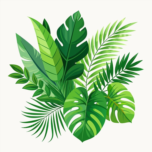 uma imagem de uma planta com folhas verdes e a palavra palmeira