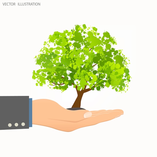 Uma mão segurando uma árvore a árvore na palma da sua o conceito de ecologia para salvar o planeta