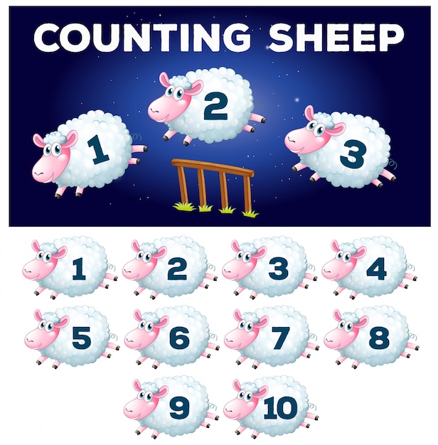 Uma ovelha contando matemática