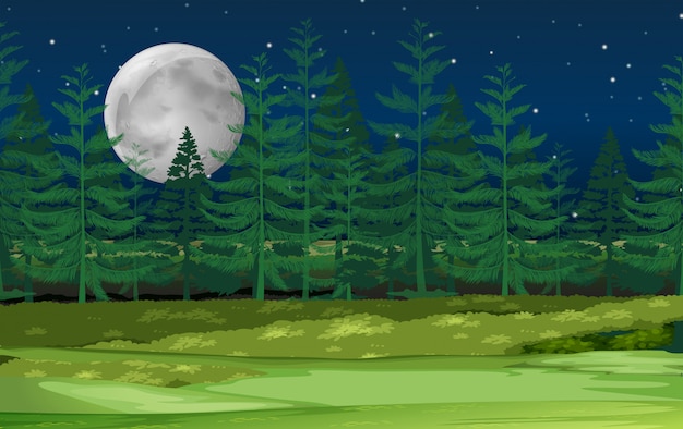 Uma paisagem de floresta à noite