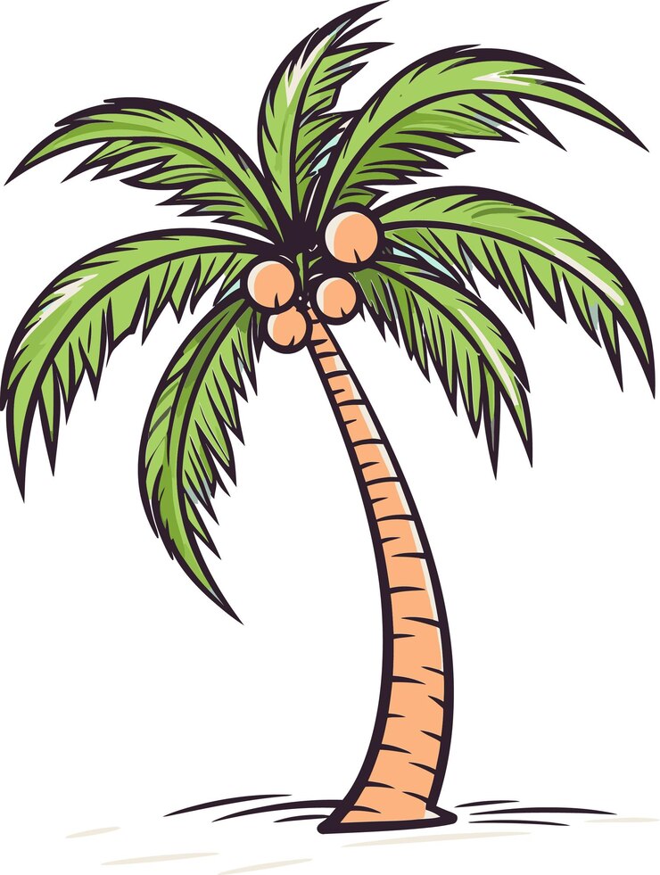 Vetor uma palmeira com folhas verdes e um desenho de uma palmera