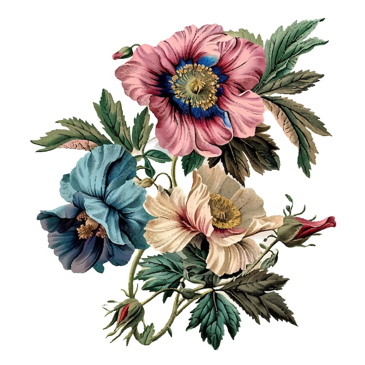 Vetor uma pintura de flores com a palavra "flores" citada
