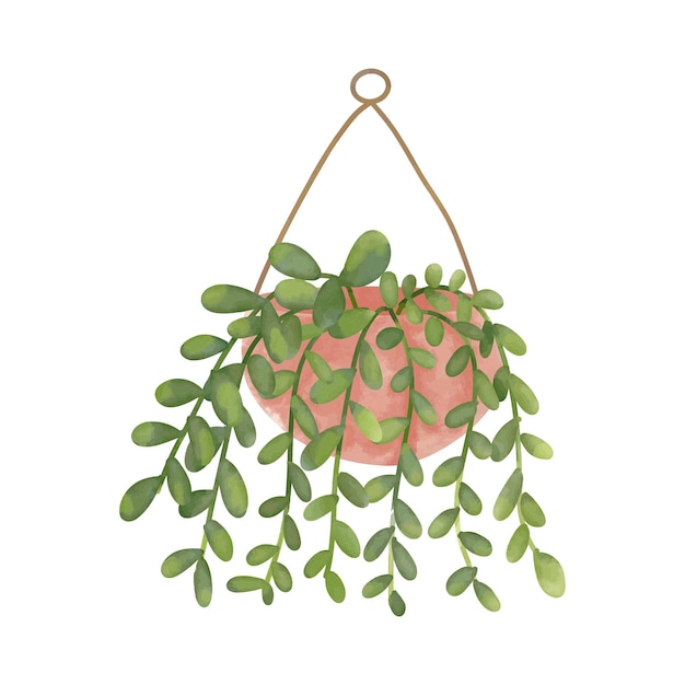 Vetor uma pintura de um morango rosa pendurado com folhas verdes