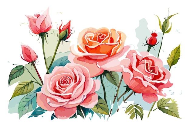 Uma pintura em aquarela de rosas com a palavra rosas nela