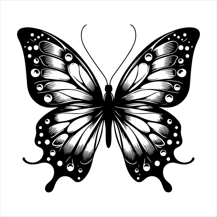 Vetor uma silhueta clara de borboleta vetor silhueta de cor preta fundo de cor branca