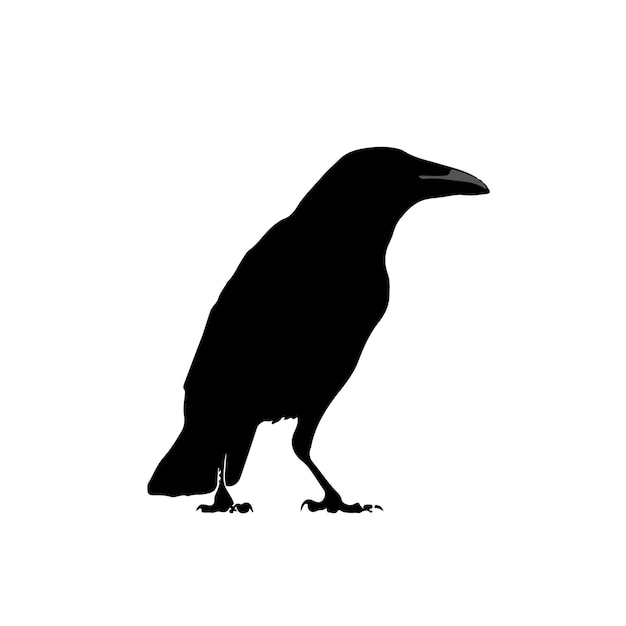Uma silhueta negra de um corvo com o número 12 nele