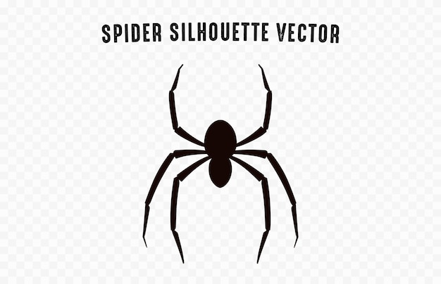 Uma silhueta preta do vetor de aranha isolada em um fundo branco