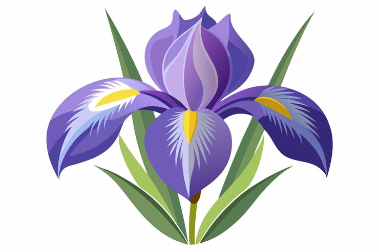 Vetor uma única flor de íris roxa com folhas verdes