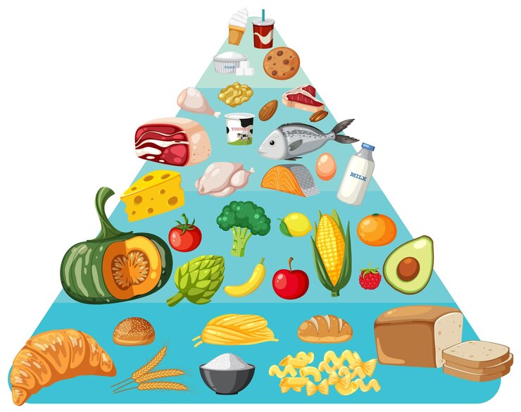 Vetor uma variedade colorida de alimentos saudáveis