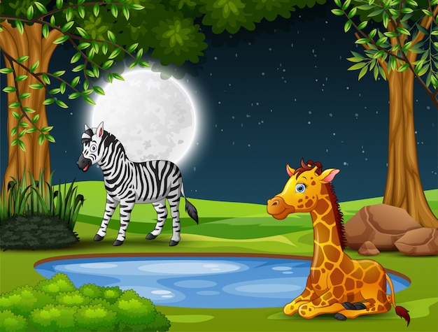 Uma zebra e girafa curtindo a natureza à noite