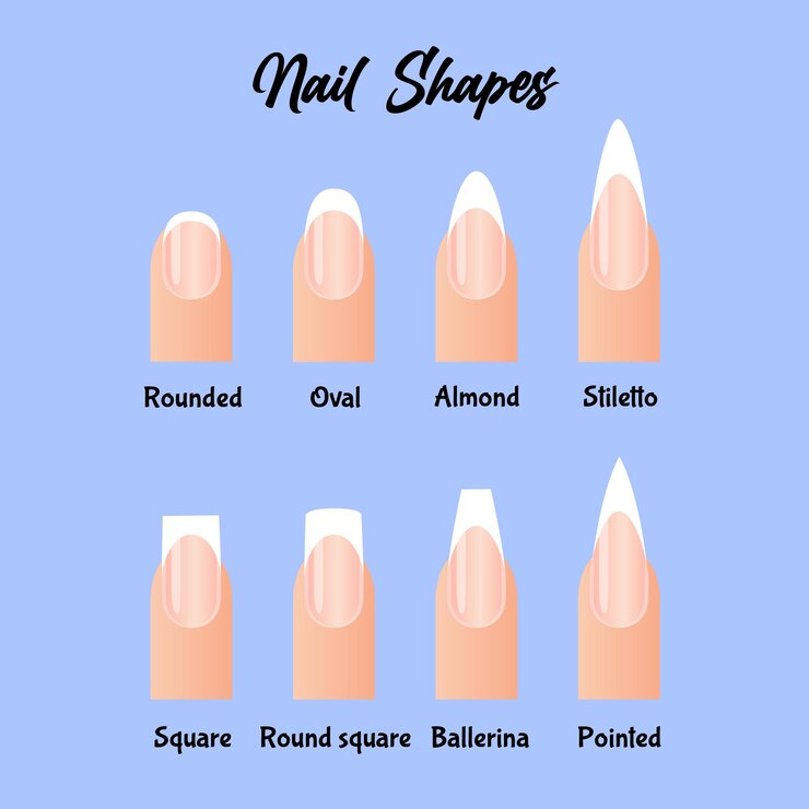 Vetor unhas manicuredas de diferentes formas e nomes