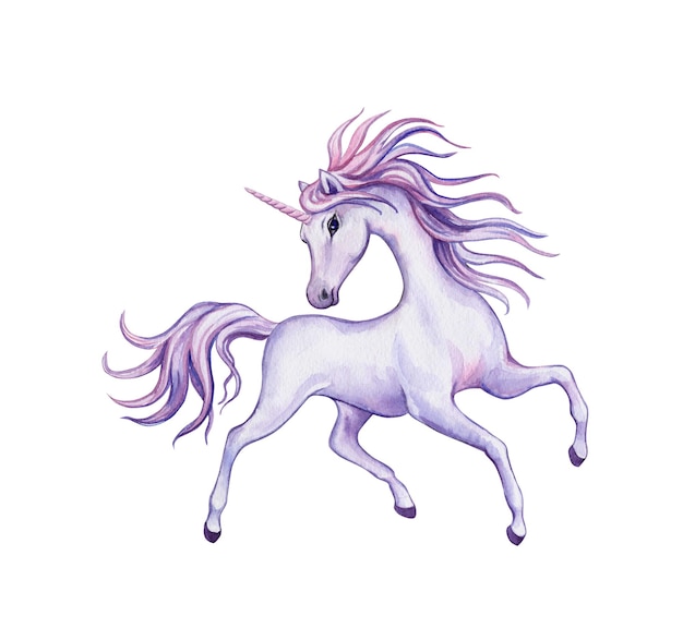 Unicórnio roxo em branco. Ilustração em aquarela