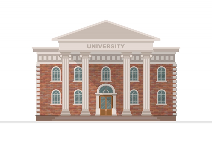 Vetor universidade edifício ilustração isolado no fundo branco