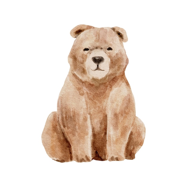 Urso de vida selvagem em aquarela de urso pardo isolado no fundo branco ilustração em aquarela de animais de urso da floresta