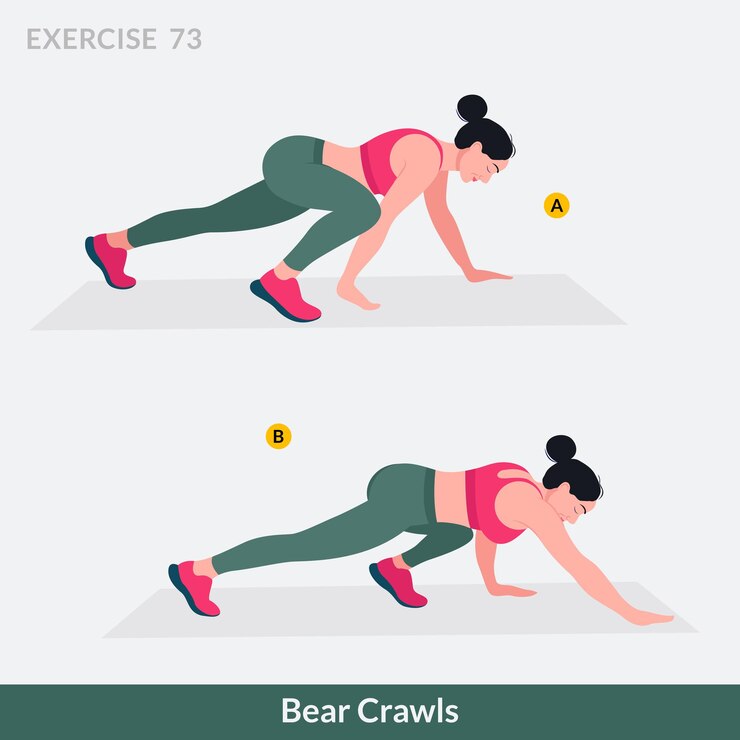 Vetor urso rasteja exercício mulher treino fitness aeróbico e exercícios