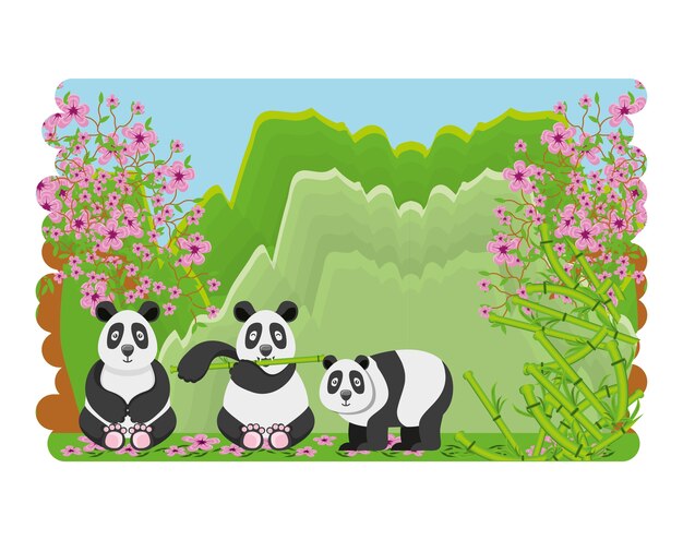 ursos fofos panda da cultura oriental