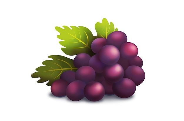 Vetor uva