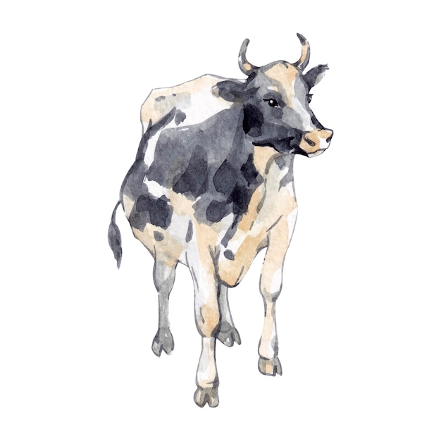 Vaca de ilustração em aquarela