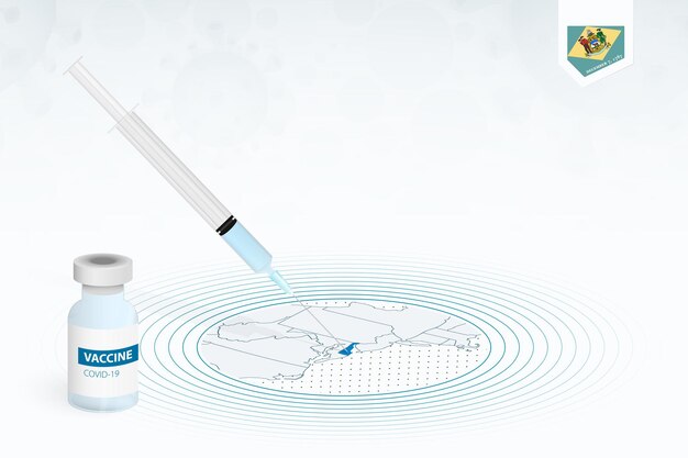 Vacinação covid-19 em delaware, ilustração de vacinação de coronavírus com frasco de vacina e injeção de seringa no mapa de delaware.