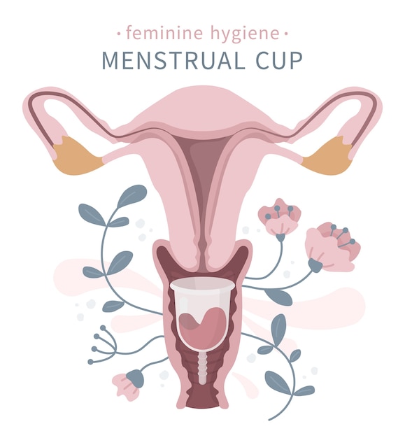 Vagina com copo menstrual, flores, coletor de sangue para mulheres, período de dias críticos, produto de higiene