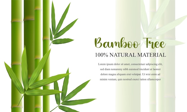 Vetor varas de bambu verdes com folhas de fundo de bambu com lugar para ilustração realista de vetor de texto