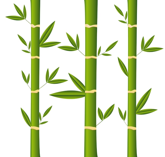Varas de bambu