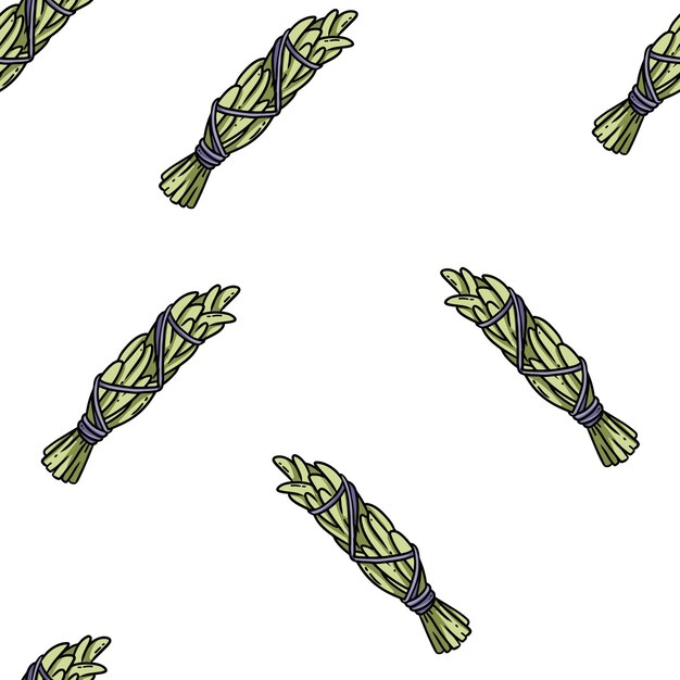 Varas de manchas de sálvia padrão sem costura boho desenhados à mão Fundo de impressão de textura de pacote de ervas de sálvia