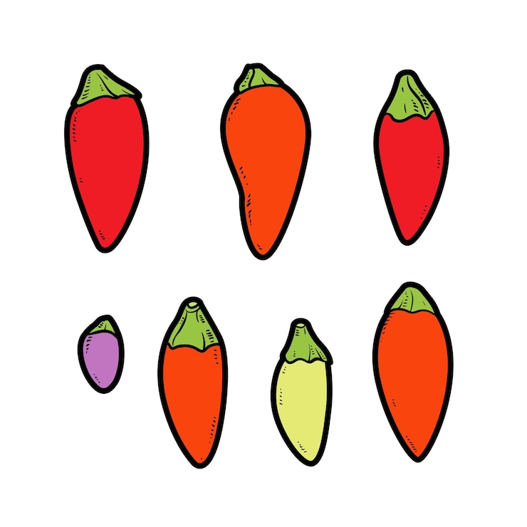 Vetor variação de cor de pimentão amargo para colorir página isolada no fundo branco