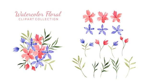 Várias coleções de clipart de flores em aquarela isoladas