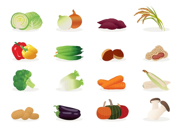 Várias ilustrações vetoriais de imagens de vegetais