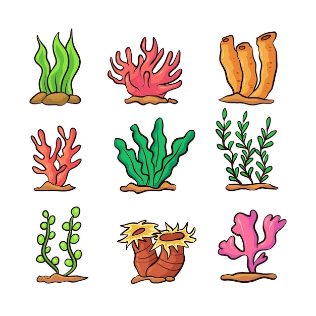 Várias plantas marinhas desenhadas à mão